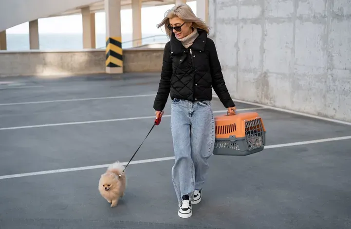 Dogoterapia